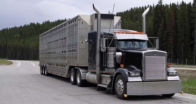 What Is The Need To Use Auto Truck Transport?